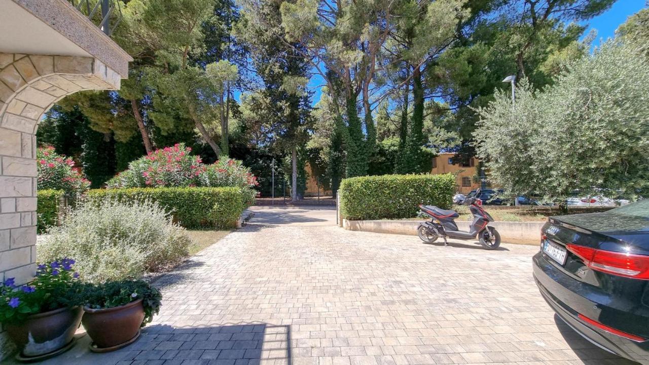 Ena Apartment Novigrad  Exterior photo